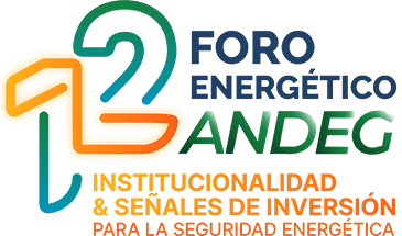 Foro Andeg 2025